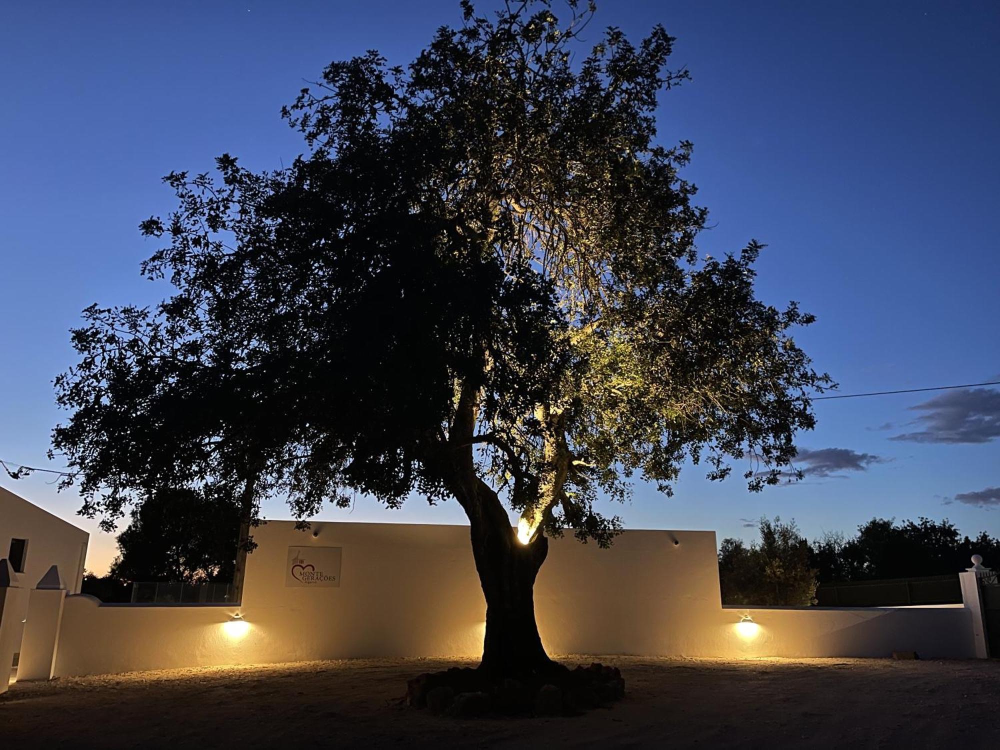 Monte Geracoes - Heated Pool - Typical Algarvian - Close To Quinta Lago, Vale Lobo And Vilamoura Алмансил Екстериор снимка
